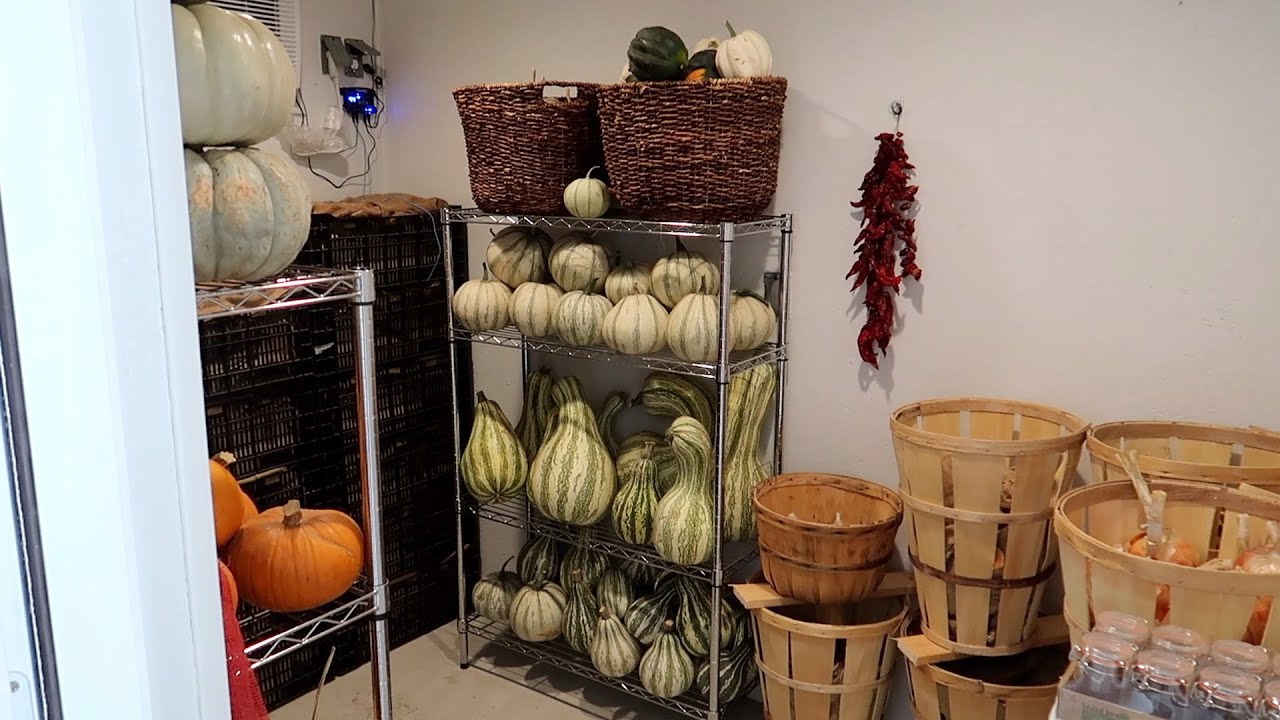 Filling Up Our Root Cellar!
