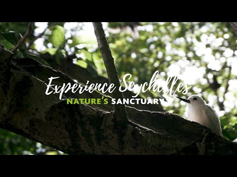 Experience Seychelles | Nature's Sanctuary | The Seychelles Islands