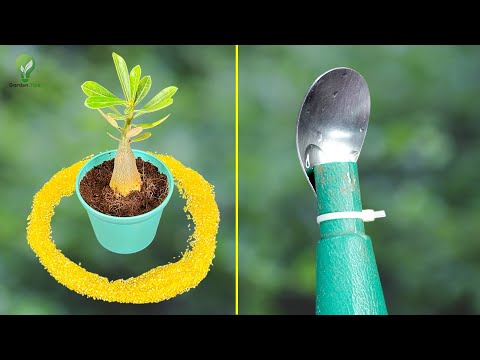 🌱 5 NEW Genius Garden Hacks That Will Save You Hundreds! 🌱