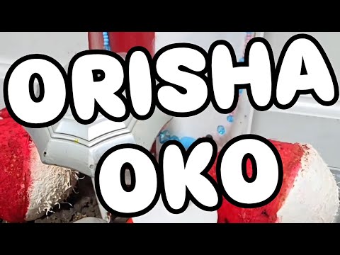 ¿ORISHAOKO CÓMO SE RECIBE?