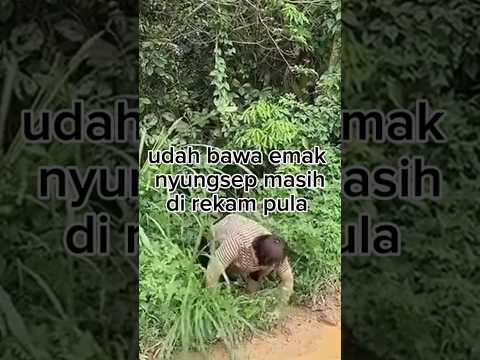 bikin ngakak #ngakak#kocakhabis #funny #viralvideo