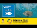 Ocean Acidification and Marine Sustainability