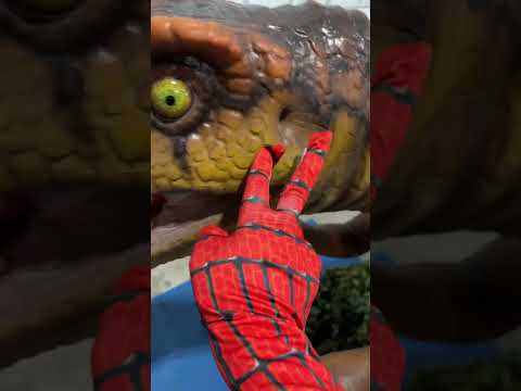 Can you say that name????????#shorts #dinosaur #funnyvideos #funny #funnymoments