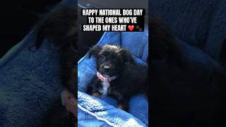 The #dogs Who Changed My Life on #nationaldogday #puppy #rescuedog #pets #fyp #viral #dogsofyoutube