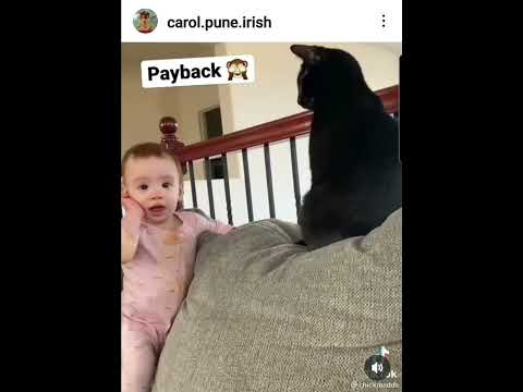 payback ??#irishpune