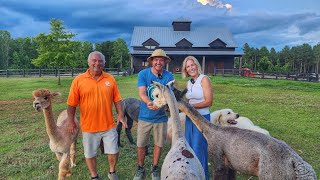 This Garden Made a Magazine Cover—And the Fertilizer? Alpacas..