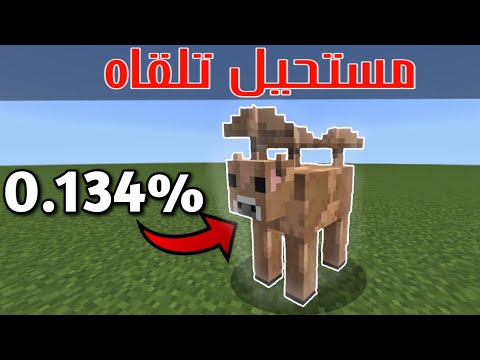 هذا الشي موجود بنسبة قليلة في ماين كرافت...