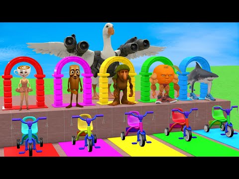 Long Slide Game with Cow Elephant Gorilla Hippopotamus Tiger 3d Animal Game Funny 3d Animals