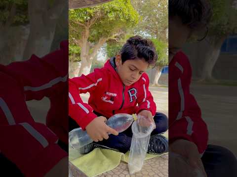 مياه البليله
