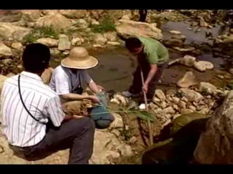 小水草的大世界─台灣的水生植物 - YouTube