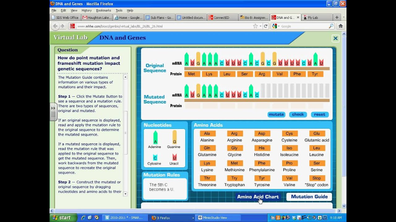 DNA Mutation Virtual Lab: Unleashing the Secrets of Genetic Variation