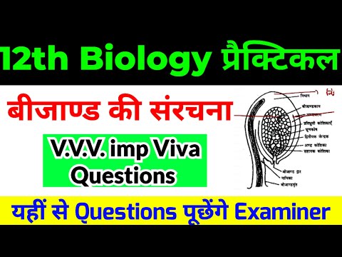 12th Biology Board Exam Practical Viva questions | बीजाण्ड की संरचना | 12th Biology Viva Questions