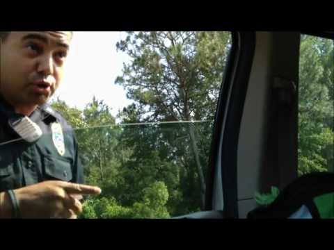 SPEED TRAP CRASHER!
