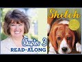 Understanding the Narrator's Journey