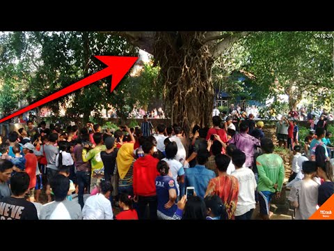LANGKA! Kuntilanak Keluar Siang-siang, Warga Cirebon Berkumpul Melihatnya