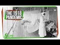 Understanding the 1918 Influenza Pandemic