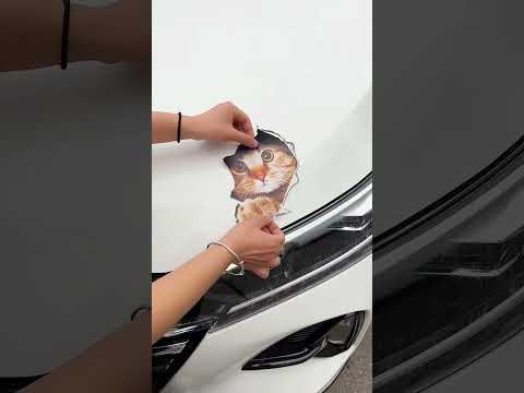 New Viral Gadgets, Smart Appliances, Kitchen Utensils/Home Inventions #viral #gadgets