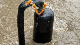 हरिद्वार गंगा उफान पर खतरा । Haridwar ganga live video