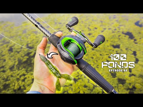 Fishing A Craw In The THICKEST Pond SLOP (100 Ponds Ep. 52)