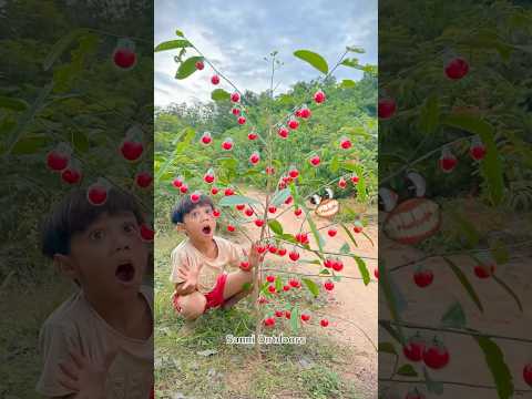 Wow! SMART idea and USEFUL with single mom #bushcraft #camping #outdoors #useful