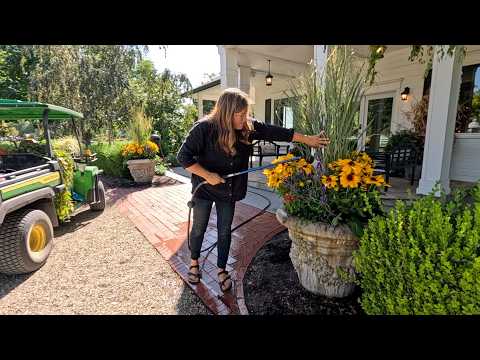 Planting the Portico Pots for Fall + Spartan Juniper Placement! 🎃🍂🌲