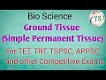 Plant Tissue Characteristics and Functions