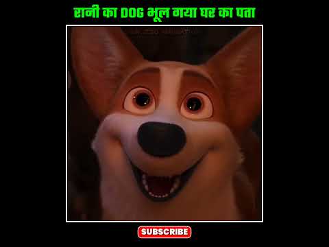 Raani Ka Dog Bhul Gya Apna Ghar ?? | Animated Movie Explained #shorts #movieexplainedinhindi