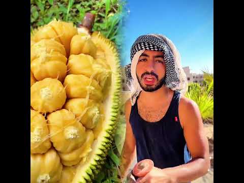 ارجع صلي #الدسوقي #يوم_القيامة #الله #مسلم #الصلاه #fyp