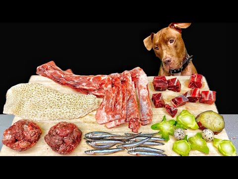 BEST ASMR MUKBANG PITBULL EATING RAW FOODS