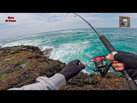 ¡El Monstruo de la Mesa! Pesca Extrema en el Pacífico Sur 🐟🔥