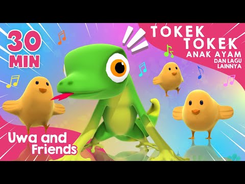 Tokek Tokek, Anak Ayam, dan Lagu Lainnya - 30 Menit Kompilasi Lagu Anak Indonesia