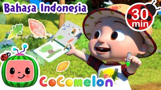 Jalan-jalan Alam Bayi JJ🌳 | CoComelon Bahasa Indonesia - Lagu Anak Anak | Nursery Rhymes