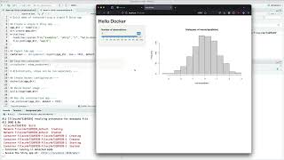 R & D Demo: {shinydocker} Dockerize Python and R Shiny Applications with one-command