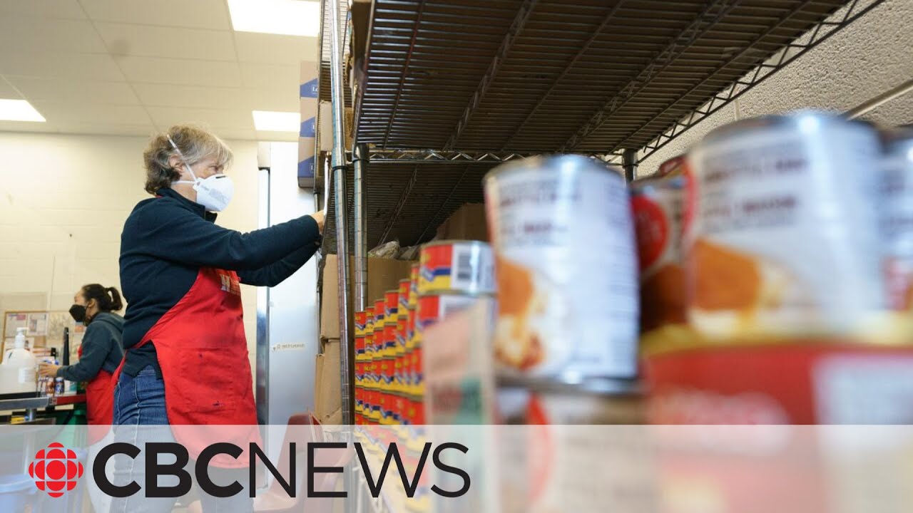 Food Bank usage Across Canada Hit all-Time High, Report Says