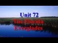 Everglades Ecosystem and Wildlife