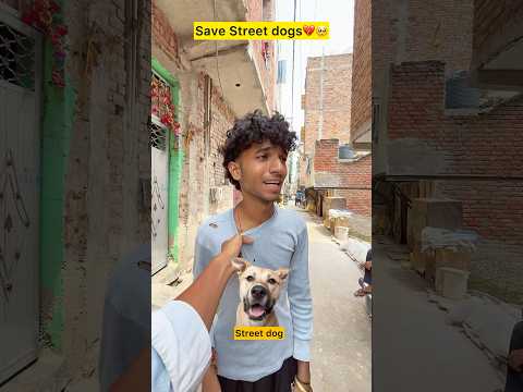 Save street dogs🥺💔 #shorts #trending