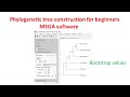 Phylogenetic Analysis and MEGA 11
