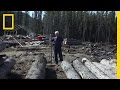 Log Management and Workshop Planning