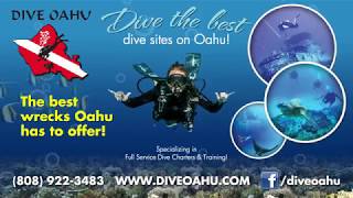 Dive Oahu  - World's Best Scuba Diving Center in Oahu, Hawaii