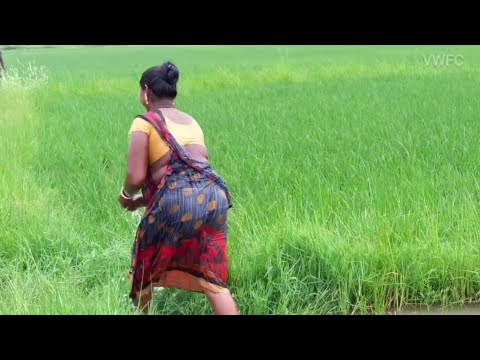 Amazing Village Women incredible Fishing in Village pond || Mouni Fishing Vlogs