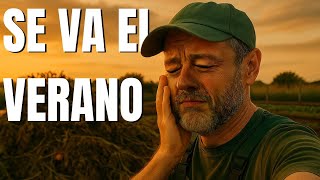 Transformando el huerto: del verano al otoño | La Horteta de Bussy