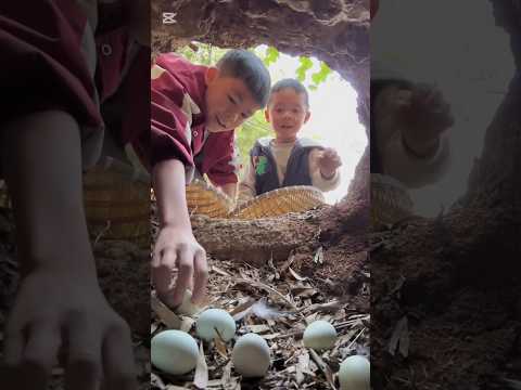 অসহায় দুই ভাই জঙ্গল থেকে ডিম নিয়ে বাজারে বিক্রি করে  তারা নাস্তা করল #shorts