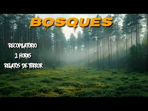 2 Horas de Relatos de Terror Ocurridos en BOSQUES (RECOPILATORIO)