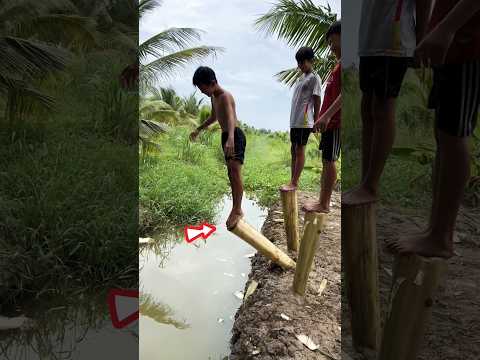 Ai Giữ Thăng Bằng Trên Cây Chuối Lâu Hơn #shorts