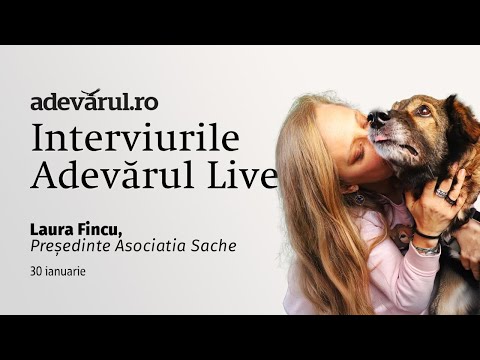 Fii eroul lui Sache, cățelul care a creat  primul spital veterinar social din România