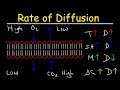 Diffusion and Factors Affecting Its Rate