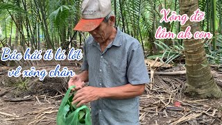 Bác 10 Vô Hái Ít Lá Lốt Về Xông Trị Giãn Tĩnh Mạch - Sườn Xào Chua Ngọt - Canh Hẹ Đậu Hũ Trứng