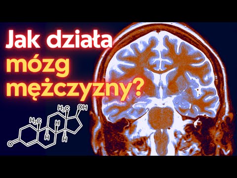 Neurobiologiczna PODSTAWA mężczyzny