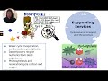 Ecosystem Services and Their Roles