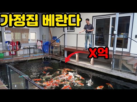집안에 67톤 연못이..전원생활 끝판왕의 비단잉어 연못. 바닥을 뜯어보면 더 대박이네요.(4k)koi pond in living room